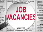 WANTED OPERATOR