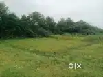 1865 sq ft plot. 207 గజాలు