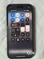 14 pro max 256