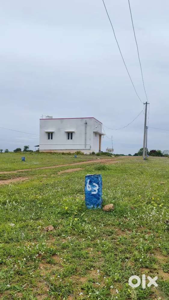 SA Garden Katthikaaranpatti