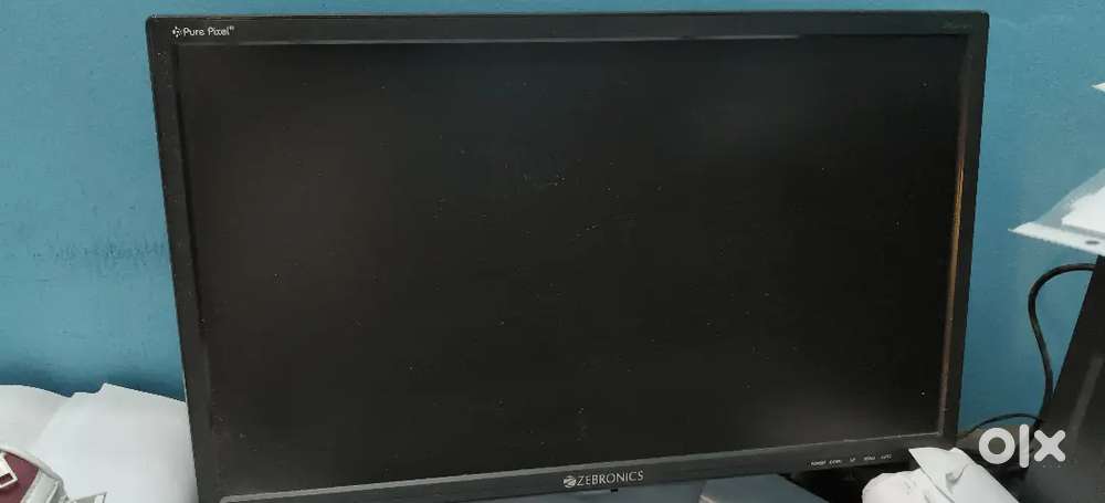 Zebronic moniter