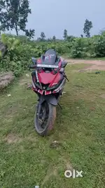 R15 v3 2019 red and black