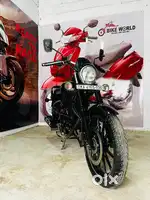 Bajaj avenger 160 street,2019 model up for sale