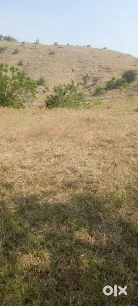 7 एकर जमीन विकणे आहे,investment करायची असेल तर कळवा,12 lakh acre ,