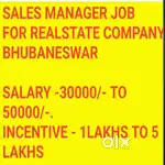 SALES MANAGER JOB FOR REALSTATE COMPANY
