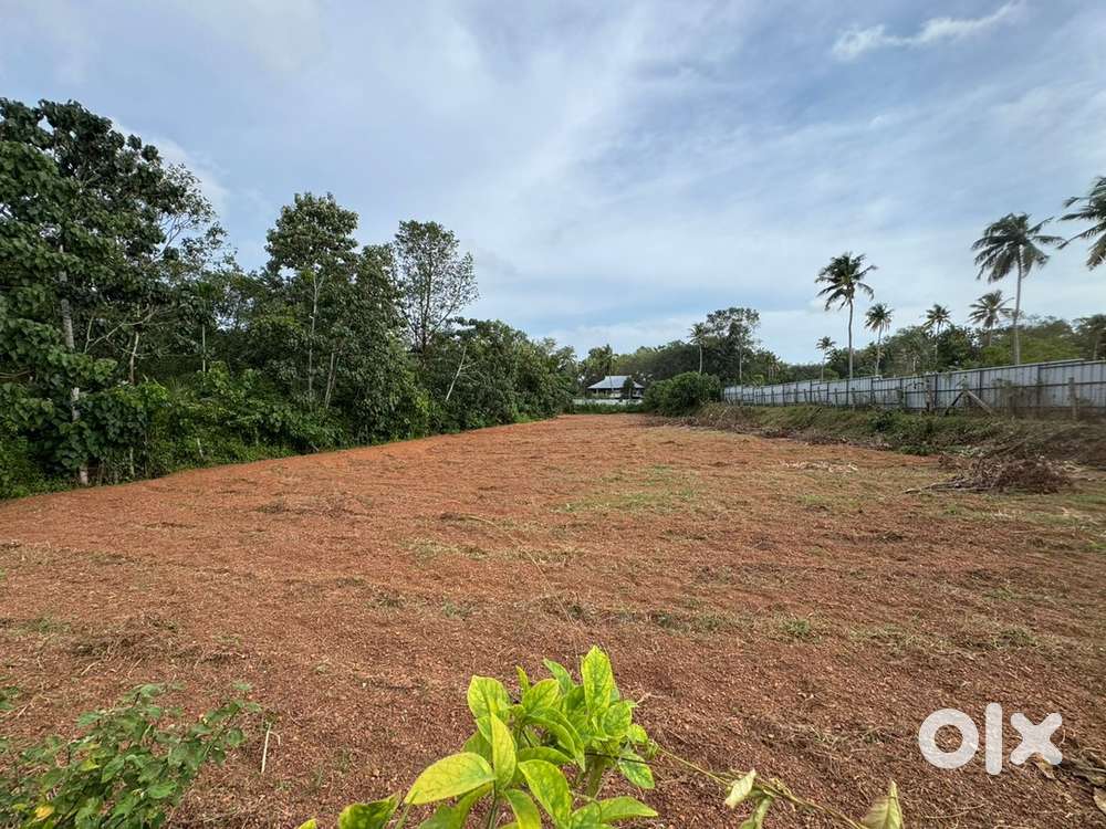 75 Cent land — ready for agriculture, poultry, or warehousing.”