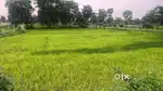 Plot For Sale at Nation Highway Road on Express way