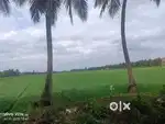 1 acre agriculture