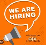 Sales executive