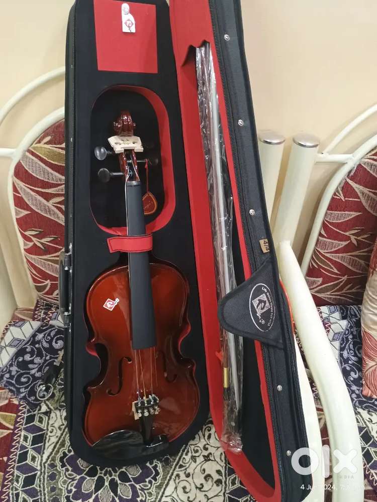 Horse Hair bow Violin