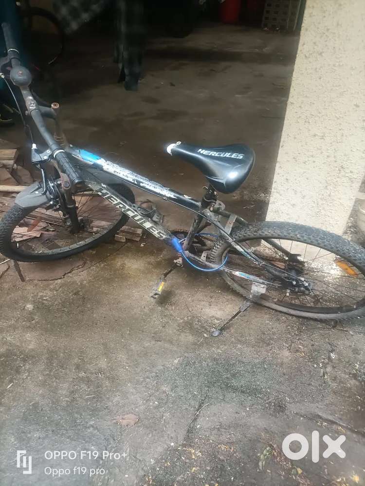 Cycle under@1999
