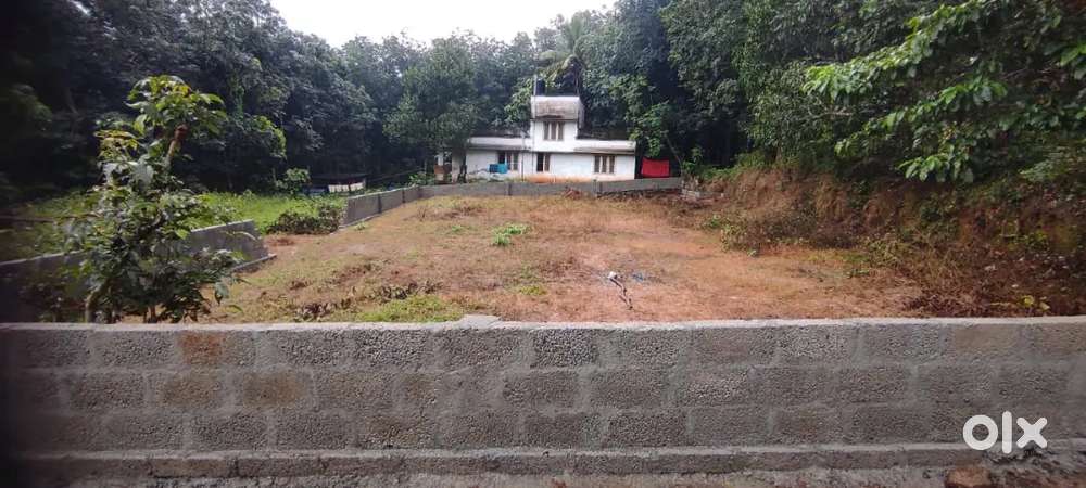 Plot for sale 11.5cent