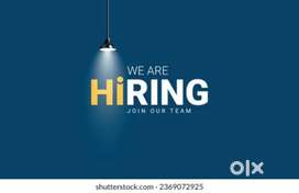 Internship, part-time and full time job