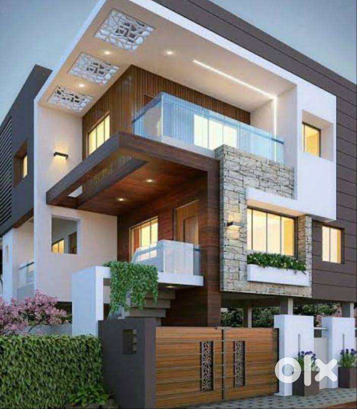 Back Office Executive