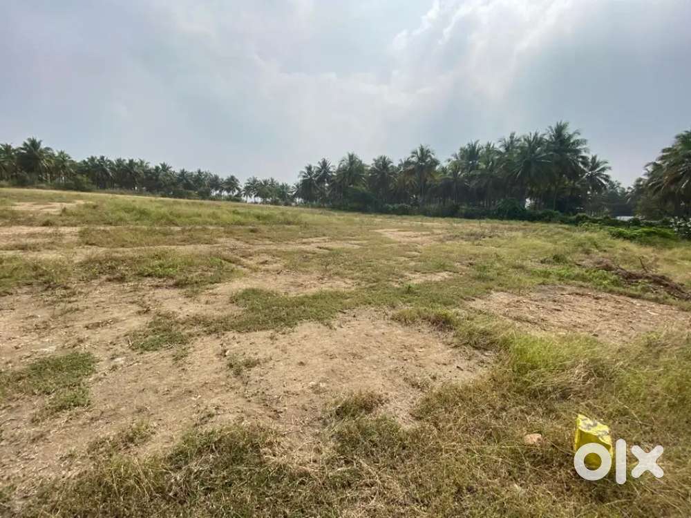 Coimbatore prime area