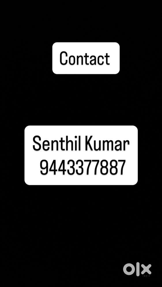 Accountant and tally person