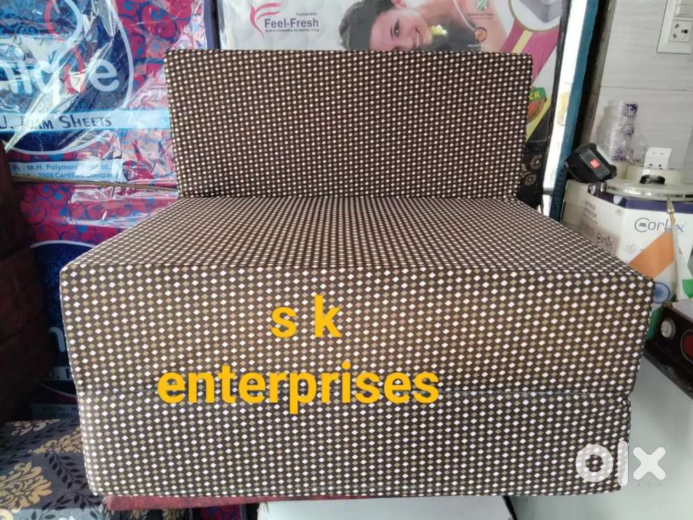 Multipurpose ( Sofa Cum Bed) start 2800