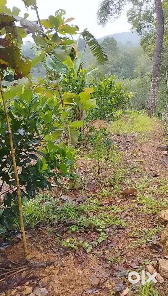 Suitable for all purpose