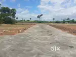 Dtcp approved plots for sale @ tirunelveli suthamalli