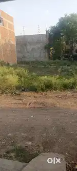 Plot for sell