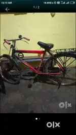 Only cycle 800