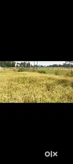 Agriculture land for sale in sompuram