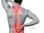 Physiotherapy/ Massage Therapy