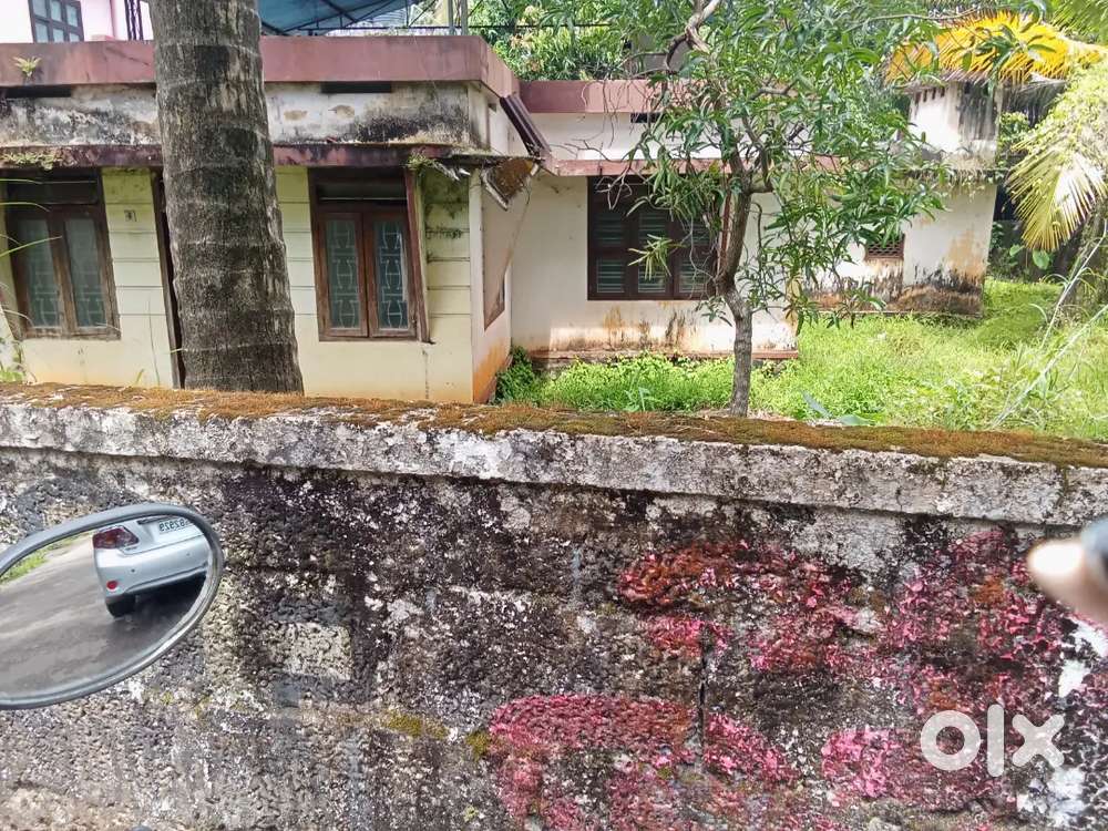10 1/4 cent road side plot