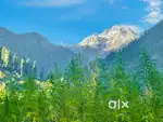 Room for rent in parvati valley