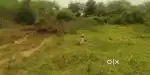 Land for sale in koduvalli near to redhills