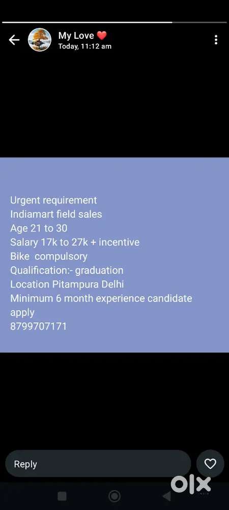 Field sales executive