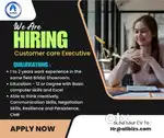 Customer Care Executives