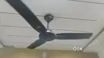 Orient.. ceiling fan