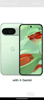 Google pixel 9.  256