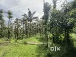 1 ACRE RESORT LAND FOR SALE AT MANANTHAVADY