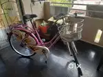 BSA Ladybird Splash 26T 24 Inch Steel Bike, Barbie Pink, Rigid