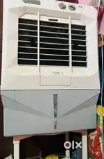 Symphony cooler (45 L)+ cooler stand