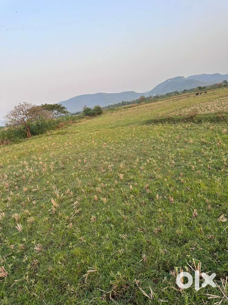 Agricultural land for sale