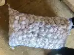 Sales man + Labor need for shop