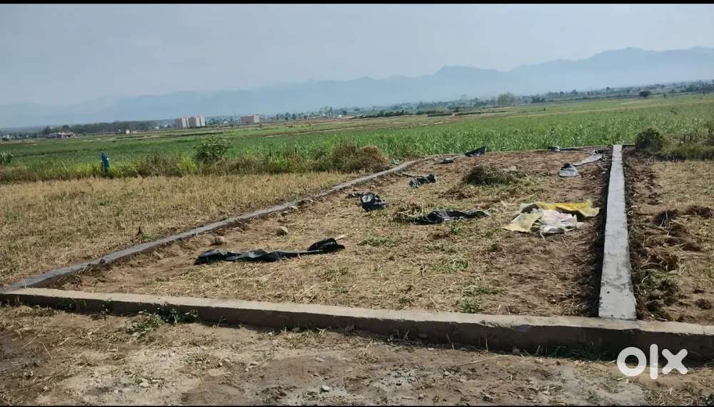 100 Gaj plot for sale in Jhabrawala (Bullawala )
