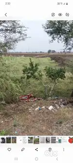 Commercial plot