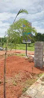 Fascinating projects for house plots are available at Muttikulangara