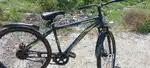 New cycle only 6 months old
