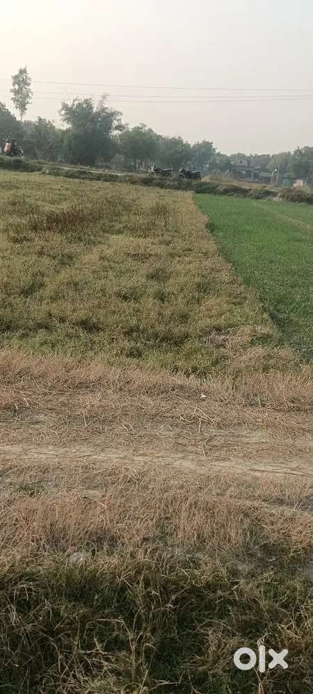 Two side road 5 Viswa plot near Jaigaha in  Bilariya ganj nagarpalika.