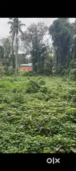 36cent plot Noornad Opposite  Padanilam Parabrahma Temple