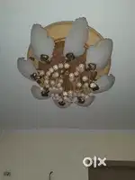 Chandelier for drawing room  ,  any ro