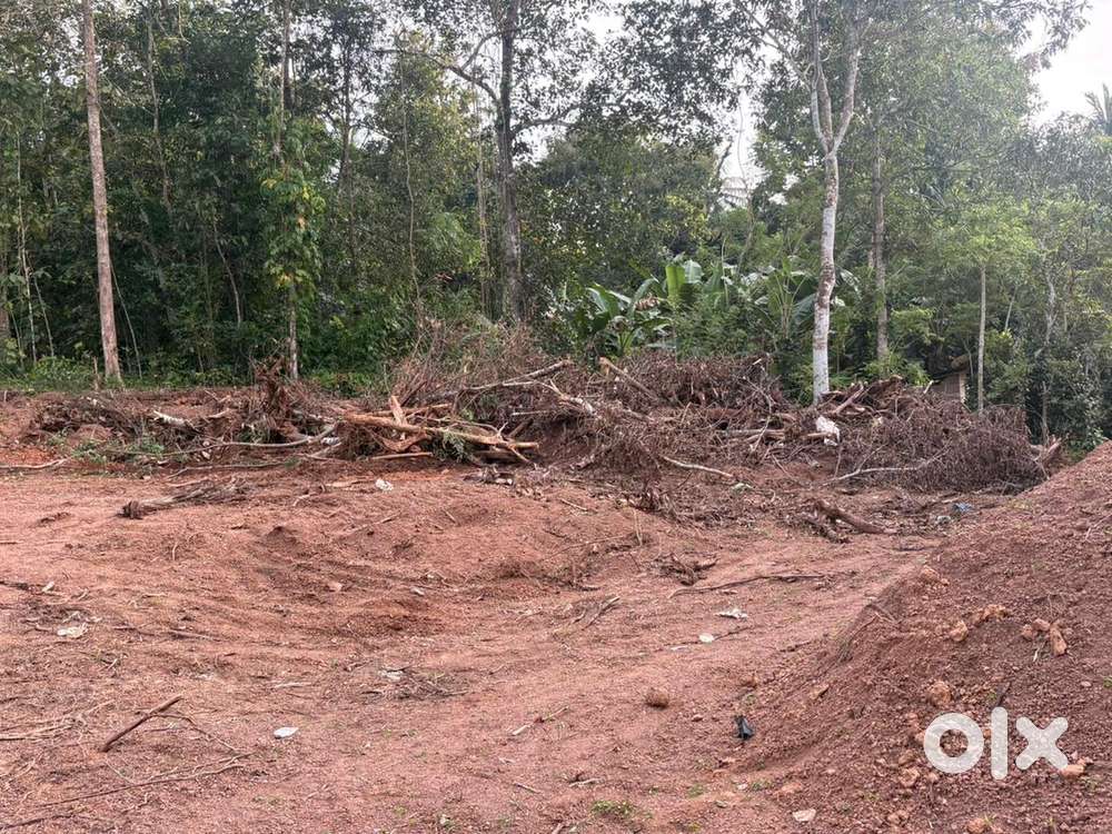 North facing good lication plot