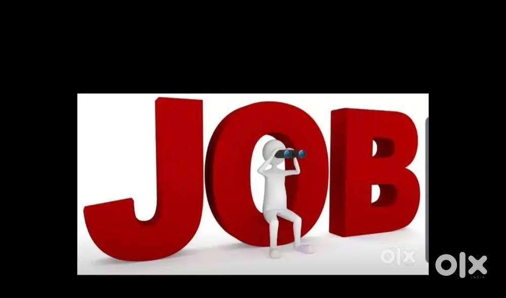 Office boy and girl work data entry and mislennious work