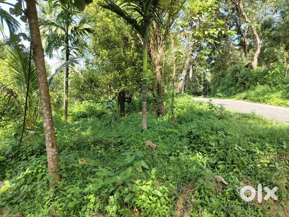 Suitable for fam tourism and resort