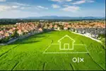 Prelaunch project for investment